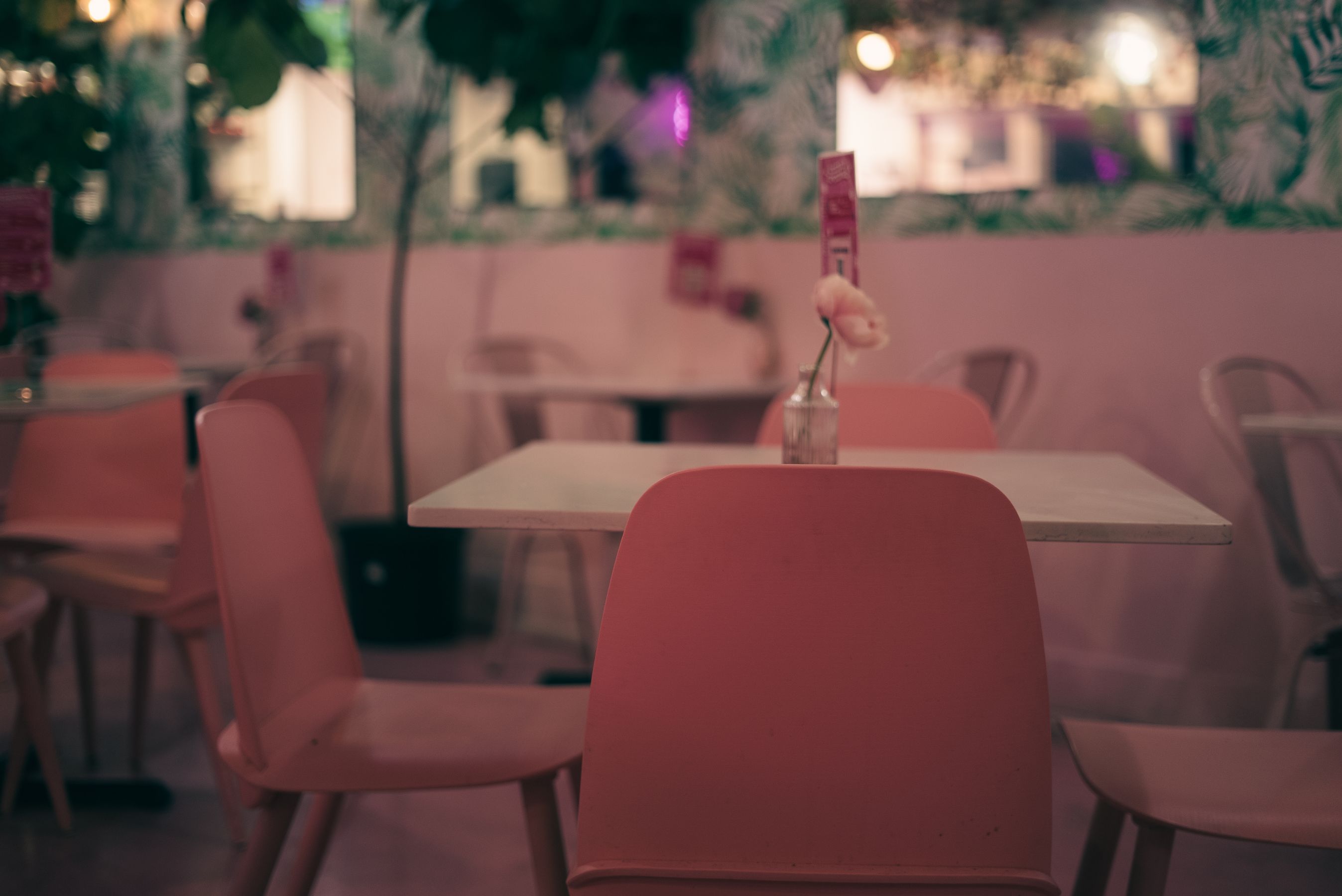 Dine-in at Mustang bakery and caf&eacute;, Noida